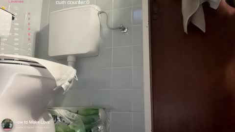 Snapshot of thesearchofgod chatting on 02-12-26, 04:24 LISA online show from 02-12-26, 04:24