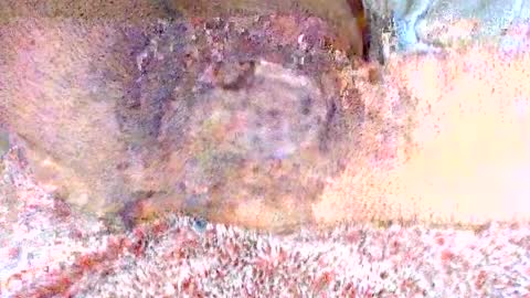 Snapshot of thetightestass14 chatting on 02-20-25, 08:36 thetightestass14 online show from 02-20-25, 08:36