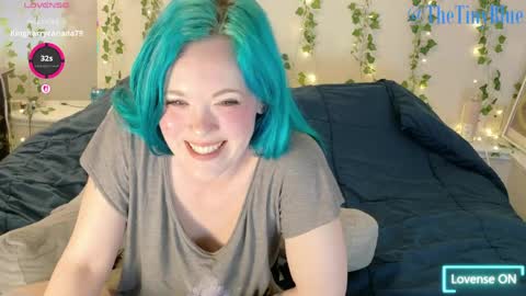 Tiny Blue online show from 04-22-26, 05:14