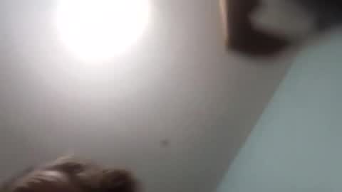 Snapshot of thetinyturtle chatting on 01-15-26, 12:04 thetinyturtle online show from 01-15-26, 12:04