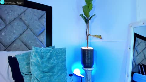 Snapshot of thiagoferrari1 chatting on 12-10-24, 02:38 thiago online show from 12-10-24, 02:38