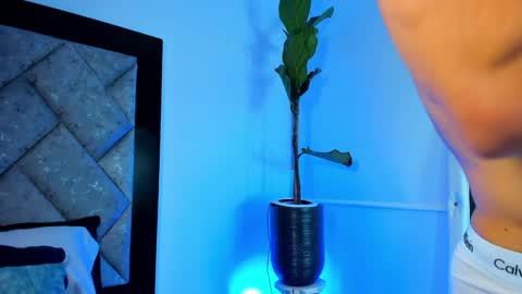 Snapshot of thiagoferrari1 chatting on 12-29-24, 04:27 thiago online show from 12-29-24, 04:27