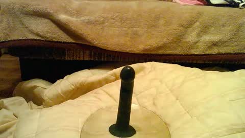 Snapshot of thongsandstockings chatting on 12-01-25, 11:21 Thongsandstocking online show from 12-01-25, 11:21