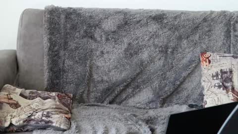 Sebastian online show from 01-08-25, 05:26