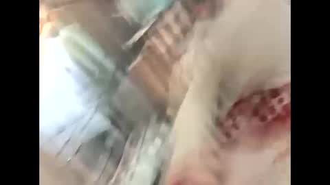 thunder8u42 online show from 10-10-25, 12:37