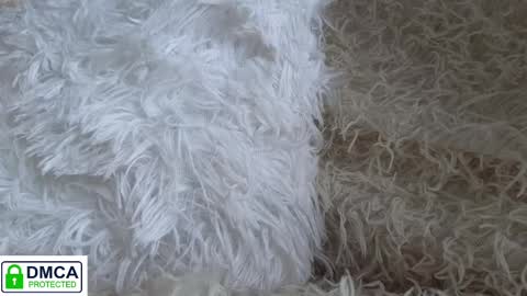 tia_j online show from 01-16-25, 11:58