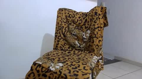 Snapshot of ticomineiro chatting on 11-01-25, 02:46 ticomineiro online show from 11-01-25, 02:46