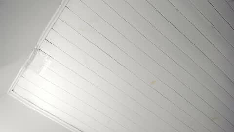 Tiffany online show from 11-22-25, 11:09