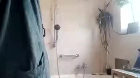 Snapshot of tigertrance chatting on 11-11-25, 10:26 tigertrance online show from 11-11-25, 10:26