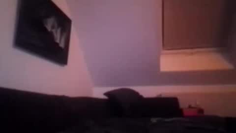 Snapshot of tigertrance chatting on 11-17-25, 01:55 tigertrance online show from 11-17-25, 01:55