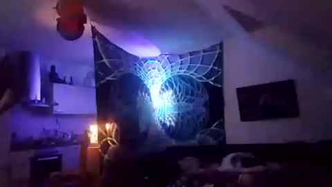 Snapshot of tigertrance chatting on 12-02-25, 12:49 tigertrance online show from 12-02-25, 12:49