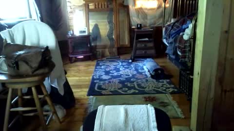 Snapshot of timcassforyou chatting on 06-01-26, 10:55 timcassforyou online show from 06-01-26, 10:55
