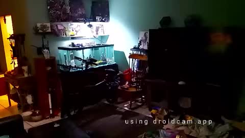 Snapshot of tinalover4u2 chatting on 11-17-25, 06:35 tinalover4u2 online show from 11-17-25, 06:35