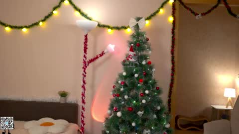 Snapshot of tiny_miracle chatting on 12-25-24, 04:54 Lyssa online show from 12-25-24, 04:54