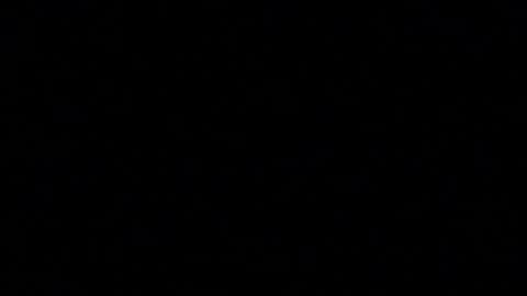 tinydaisy22 online show from 12-05-25, 04:10