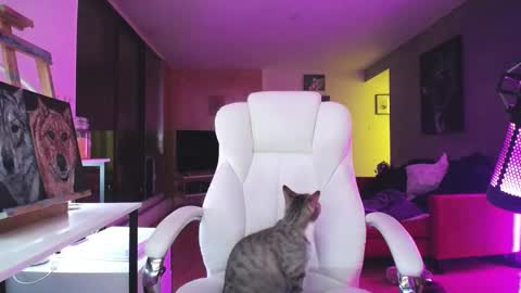 Snapshot of tinykylie chatting on 10-14-25, 01:06 stage Kylie Sinner brand CLITBAIT online show from 10-14-25, 01:06