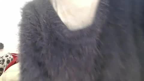 tinyslut66 online show from 04-07-26, 09:54