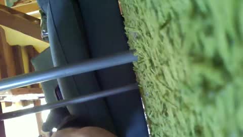 tinyvoice87 online show from 05-02-26, 09:14