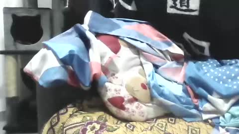 Ester online show from 04-22-26, 09:01