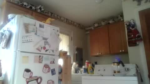 Snapshot of tiusflow chatting on 11-05-25, 04:07 tiusflow online show from 11-05-25, 04:07