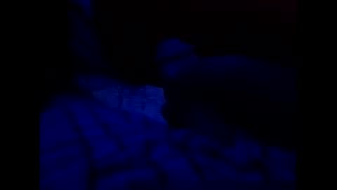 tixzle online show from 03-31-26, 07:36