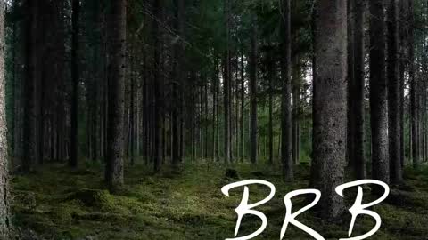 Tim online show from 11-02-25, 07:16