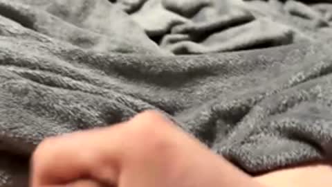 Snapshot of tmue chatting on 02-15-26, 02:58 tmue online show from 02-15-26, 02:58