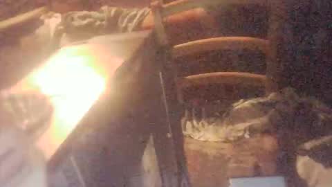 Snapshot of tobimcfly723 chatting on 04-16-26, 11:29 tobimcfly723 online show from 04-16-26, 11:29