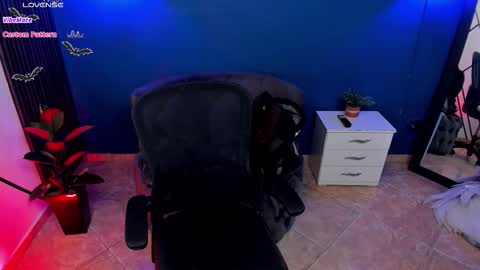 Snapshot of todoroki_g chatting on 10-24-25, 12:12 todoroki_g online show from 10-24-25, 12:12