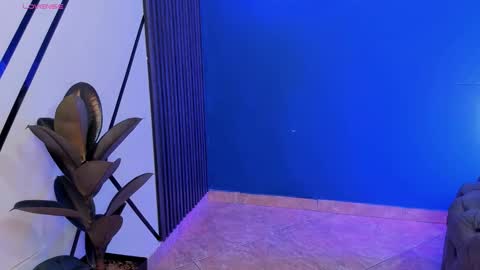 Snapshot of todoroki_g chatting on 10-29-25, 12:29 todoroki_g online show from 10-29-25, 12:29