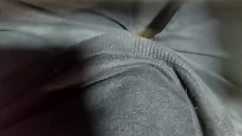 Snapshot of tomas_cum69 chatting on 02-12-25, 10:37 Tomas online show from 02-12-25, 10:37