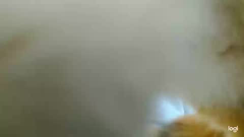 Blue online show from 02-24-25, 03:42