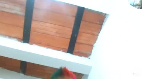 Blue online show from 03-03-25, 09:26