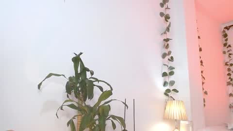 Snapshot of tommyfoxboy chatting on 03-05-25, 05:18 Tommy Foxboy online show from 03-05-25, 05:18