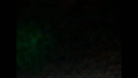 tonyd online show from 01-04-25, 10:05