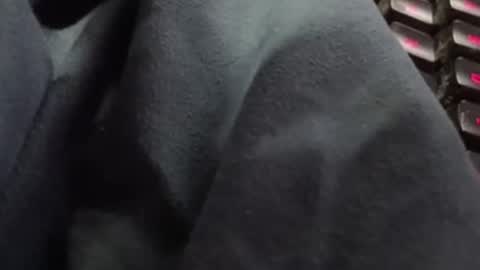 tonysafari online show from 02-27-25, 01:38