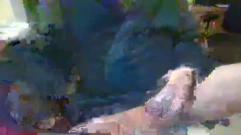 Snapshot of topcat127 chatting on 01-26-25, 07:10 Topcat127 online show from 01-26-25, 07:10