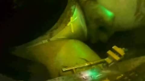 Snapshot of tosexyforjustus chatting on 03-15-26, 08:59 tosexyforjustus online show from 03-15-26, 08:59