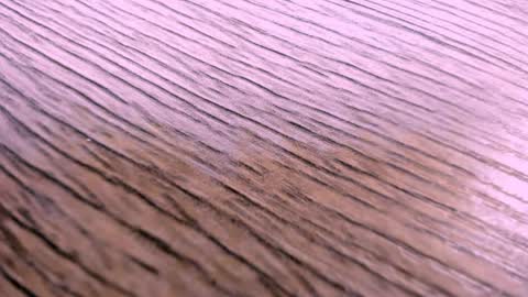 toshi_dakxxx online show from 04-02-26, 01:31