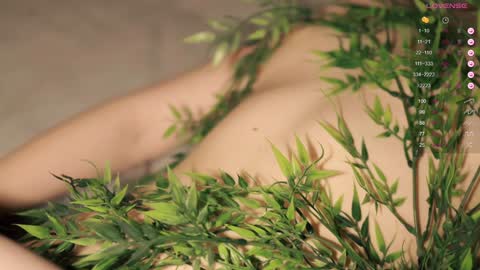 Snapshot of toshimori chatting on 01-20-25, 01:00 Toshi online show from 01-20-25, 01:00