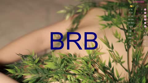 Snapshot of toshimori chatting on 01-27-25, 04:11 Toshi online show from 01-27-25, 04:11