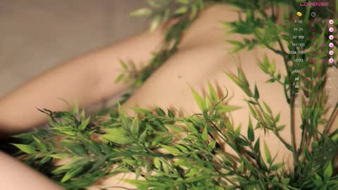 Snapshot of toshimori chatting on 09-17-25, 01:02 Toshi online show from 09-17-25, 01:02