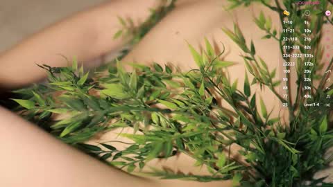 Snapshot of toshimori chatting on 12-14-25, 01:05 Toshi online show from 12-14-25, 01:05