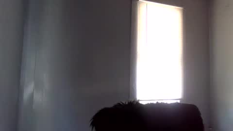 toxicanikki online show from 02-04-26, 08:36