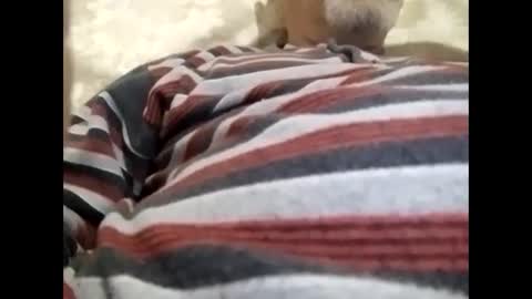 Snapshot of tra649167 chatting on 02-09-25, 08:02 tra649167 online show from 02-09-25, 08:02