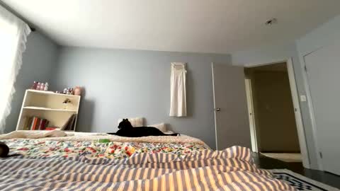 transgirl007 online show from 05-30-26, 09:12