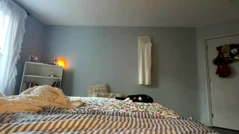 transgirl007 online show from 06-12-26, 09:14