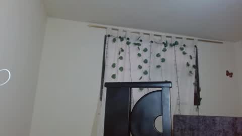 Snapshot of trebol_4 chatting on 03-01-26, 08:55 trebol_4 online show from 03-01-26, 08:55