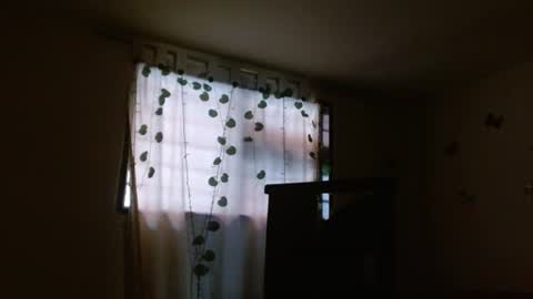 Snapshot of trebol_4 chatting on 07-28-26, 09:14 trebol_4 online show from 07-28-26, 09:14