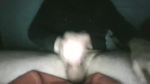 trekkertje666 online show from 01-25-25, 08:00